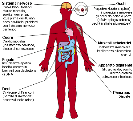 [diagram of human body with lists of symptoms]