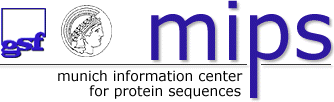 MIPS - Munich Information Centre for Protein Sequences